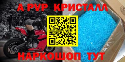 прущие грибы Кингисепп